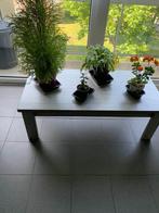 Salon tafel, Ophalen