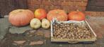 Pompoenen + butternuts + walnoten, Ophalen