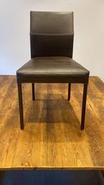 8 chaises en cuir brun, Vijf, Zes of meer stoelen, Gebruikt, Leer, Bruin