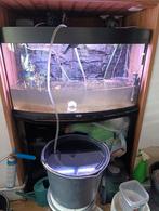 Jewel Vision, Dieren en Toebehoren, Ophalen of Verzenden, Gebruikt, Verlichting of Verwarming