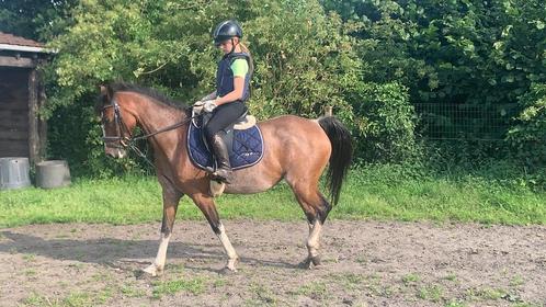 Leuke sport C pony merrie 9j, Dieren en Toebehoren, Pony's, Merrie, B, C pony (1.27m tot 1.37m), Springpony, 7 tot 10 jaar, Met stamboom