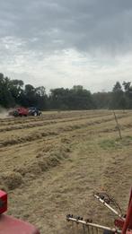 Foin 2025 bonne qualité