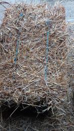 Stro te koop, Dieren en Toebehoren, Paarden