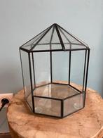 Glazen serre, Tuin en Terras, Kassen, Ophalen, Gebruikt