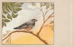 KWARTEL ASTRILDE, Collections, Cartes postales | Animaux, Envoi, Non affranchie, Oiseaux