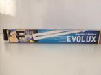 Evolux lamp 11Watt voor een aquarium 40x 40x 40, Ophalen of Verzenden, Nieuw, Verlichting of Verwarming