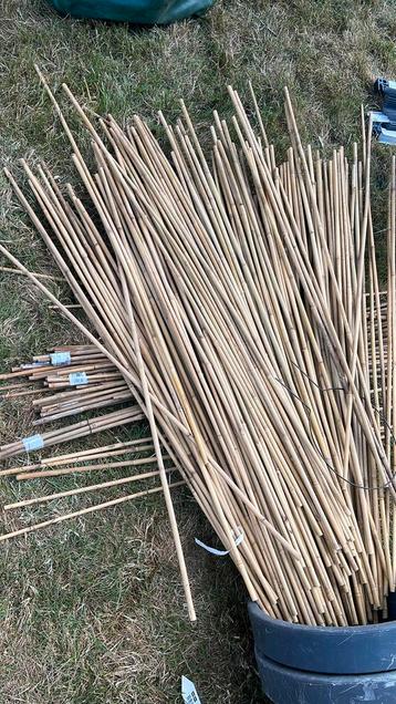 Bamboo sticks beschikbaar voor biedingen