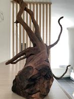 Racine XXL, Animaux & Accessoires, Enlèvement ou Envoi, Comme neuf, Plante(s), Pierre ou Bois