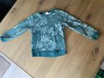 hema groene pull met witte blaadjes maat 110 116 of 5 6 jaar, Enfants & Bébés, Vêtements enfant | Taille 110, Garçon, Enlèvement ou Envoi