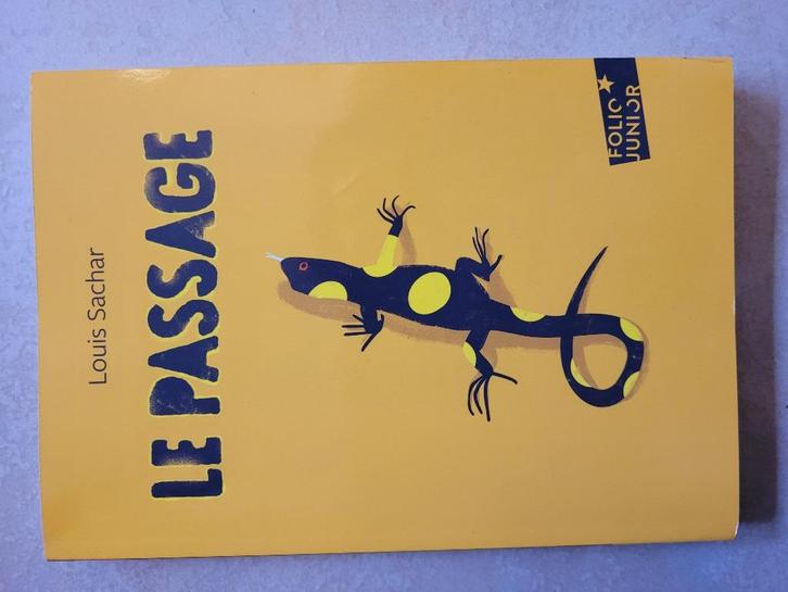Le passage - Louis Sachar, Boeken, Kinderboeken | Jeugd | 10 tot 12 jaar, Zo goed als nieuw, Fictie, Ophalen of Verzenden