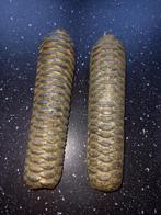 2 grote gewichten van een  Schwarzwalduhr, Ophalen of Verzenden