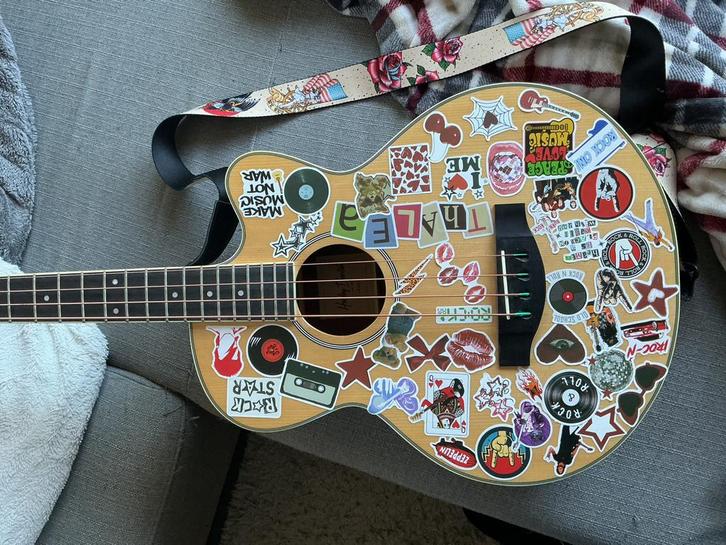 semi-akoustische basgitaar met toebehoren, Musique & Instruments, Instruments à corde | Guitares | Acoustiques, Neuf, Enlèvement