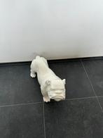 Engelse bulldog beeld 60cm x 40cm, Nieuw, Ophalen of Verzenden