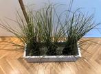 plantenbak met 3 valse planten, Ophalen, Zo goed als nieuw