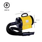 Honden Föhn 2800W, Verzenden, Nieuw