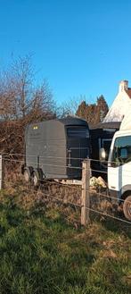 Aanhangwagen Westfalia voor 2 paarden, Enlèvement, Utilisé, Polyester, Remorque 2 chevaux