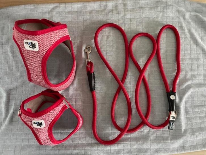 Puppy setje 2 Y tuigjes en bijpassende leiband (merk Curli), Dieren en Toebehoren, Hondenriemen, Zo goed als nieuw, Hondenriem