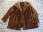 gilet en fourrure, Enlèvement ou Envoi, Porté, Taille 42/44 (L), Brun