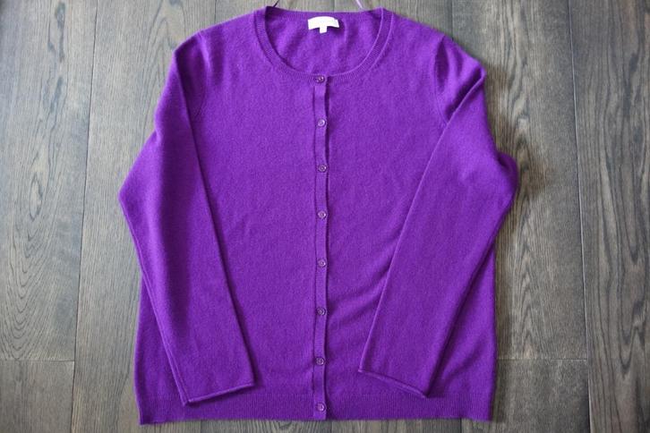 Gilet cachemire baie "Darling Harbour" Envoi compris, Kleding | Dames, Truien en Vesten, Zo goed als nieuw, Verzenden