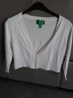 kort vestje maat L, Kleding | Dames, Truien en Vesten, Ophalen of Verzenden, Maat 42/44 (L)