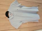 licht blauwe polo Tommy hilfiger, Kleding | Dames, T-shirts, Ophalen of Verzenden, Gedragen