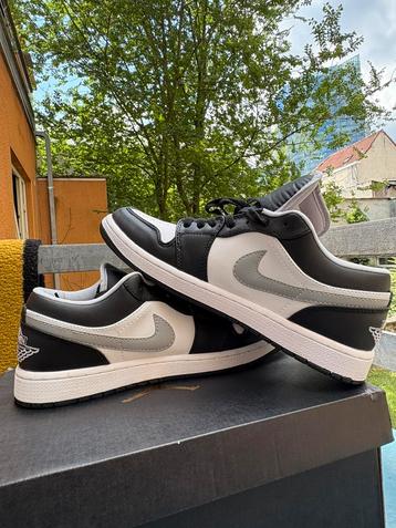 Chaussures Air Jordan 1, Neuf, Chaussures à lacets, Enlèvement, Jordan