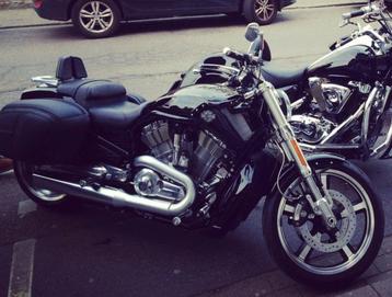 Harley-Davidson VRSCF V-ROD MUSCLE / NIGHT ROD