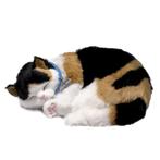 Lapjeskat kitten Perfect Petzzz dieren ademt 'echt', Kinderen en Baby's, Speelgoed | Knuffels en Pluche, Ophalen of Verzenden