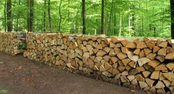 Bois Chauffage PROFESSIONNELS et Consommateurs Gros volumes