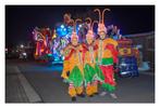 Kostuums sprinkhanen - carnaval, Ophalen, Gebruikt, Kostuum