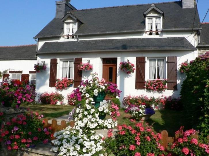 Le Grand Hortensia centrum Finistère, Vakantie, Vakantiehuizen | Frankrijk, Bretagne, Landhuis of Villa, Landelijk, Aan zee, 2 slaapkamers