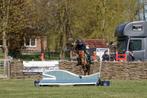 Geweldige A pony met winnersmentaliteit, Dieren en Toebehoren, Gechipt, Ruin, Springpony, A pony (tot 1.17m)