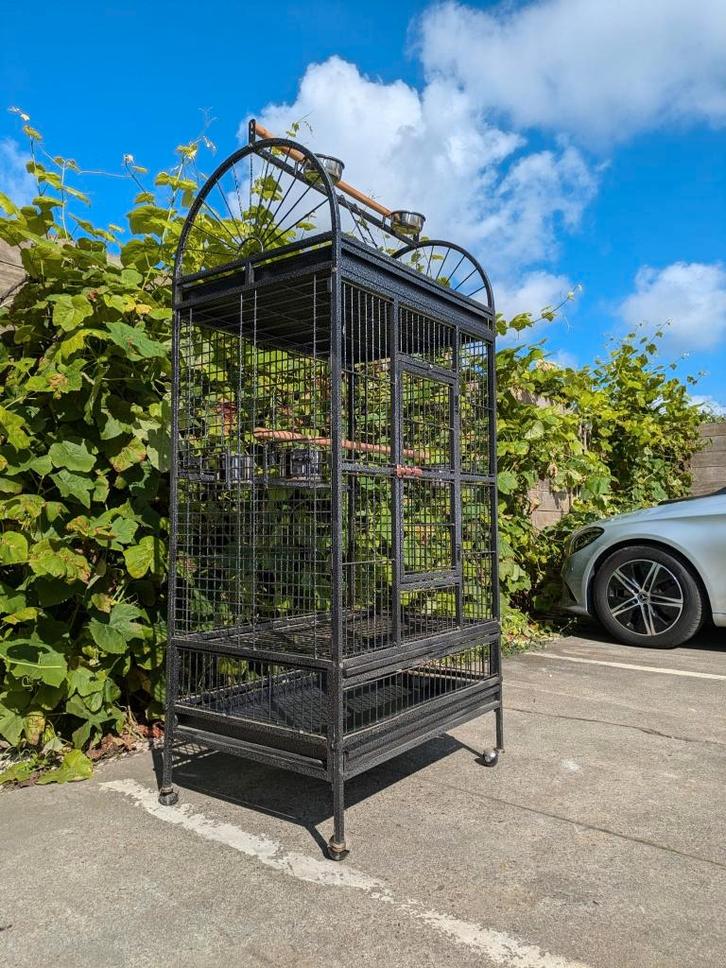 Cage pour perroquets Queen - 220, Animaux & Accessoires, Oiseaux | Cages & Volières, Neuf, Cage à oiseaux, Métal, Enlèvement
