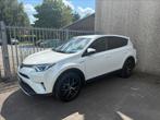 Toyota rav 4 hybride, Auto's, Wit, 5 deurs, Rav4, SUV of Terreinwagen