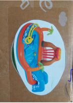 Piscine pour enfant, Enfants & Bébés, Enlèvement, Comme neuf, Autres types