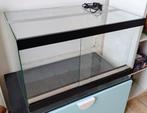 Terrarium 80 x 50 x 50 met lamphouder, Ophalen, Gebruikt, Terrarium of Paludarium