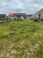 450m2 weide, Dieren en Toebehoren, Stalling en Weidegang
