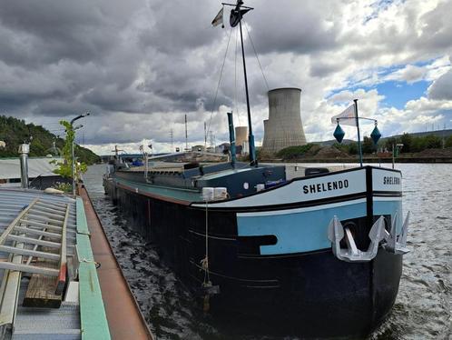 Binnenvaartschip, Immo, Woonboten te koop, Provincie Luik