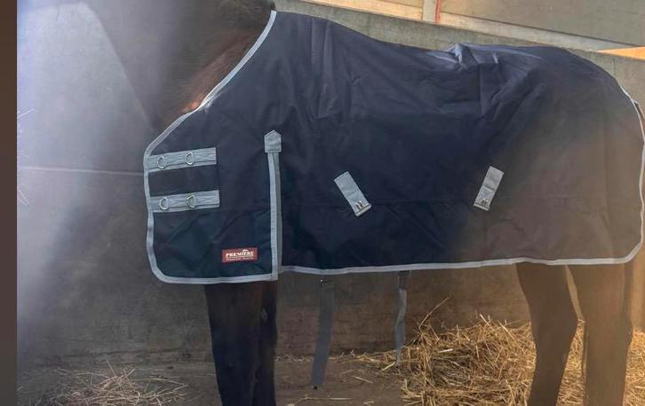 Premiere paardendeken, Animaux & Accessoires, Chevaux & Poneys | Couvertures & Couvre-reins, Comme neuf, Enlèvement ou Envoi