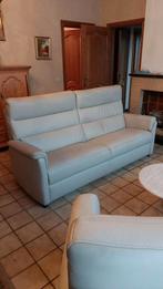 Salon de cuir, Enlèvement