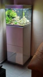 Oase Highline 125 aquarium, compleet op meubel, Ophalen, Zo goed als nieuw, Gevuld zoetwateraquarium