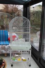 kooi voor grote parkieten (valkparkieten), Dieren en Toebehoren, Ophalen, Zo goed als nieuw