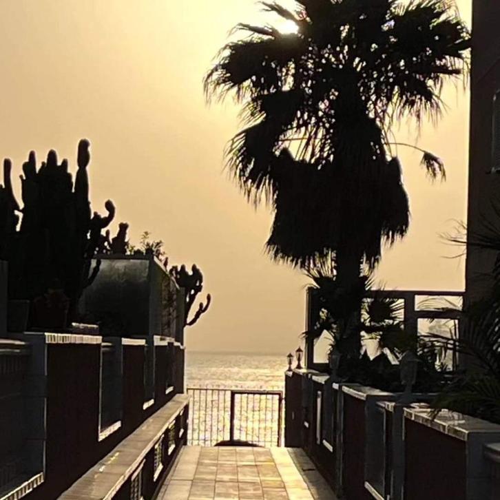 Tenerife appartement, Vakantie, Vakantiehuizen | Spanje, Canarische Eilanden, Appartement, Overige, Aan zee, 1 slaapkamer, Eigenaar