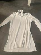 Rolkraagtrui, Kleding | Dames, Topjes, Ophalen of Verzenden, Zo goed als nieuw, Wit