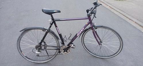 Gigantische fiets - 21 versnellingen, Fietsen en Brommers, Fietsen | Heren | Sportfietsen en Toerfietsen, Gebruikt, Giant, Ophalen