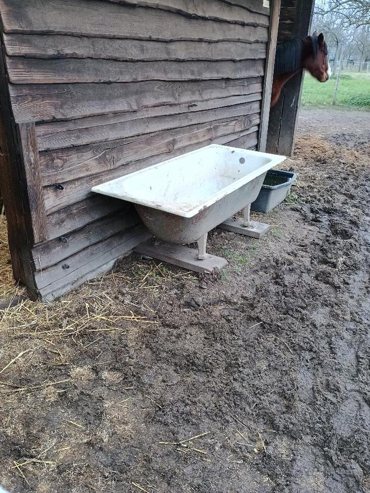 gietijzeren bad - drinkbak voor paarden, Dieren en Toebehoren, Stalling en Weidegang