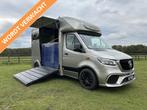 Mercedes-Benz Sprinter 317 AMG 2-paards paardenvrachtwagen B, Animaux & Accessoires, Info@hulshof-trading.nl, Utilisé, Harskamperweg 60
3774JR  KOOTWIJKERBROEK, NL
