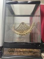 Terrarium met warmte lamp, Dieren en Toebehoren, Ophalen, Zo goed als nieuw, Terrarium of Paludarium