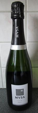 Cava brut MVSA (75cl) ONGEOPENDE FLES, Nieuw, Vol, Spanje, Champagne