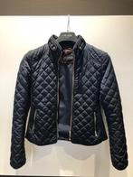 donkerblauwe vest, Zara, Gedragen, Blauw, Maat 36 (S)